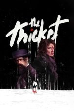 Tonton FilmThe Thicket (2024) 